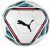 Puma Teamfinal 21.5 5 Numara Futbol Topu