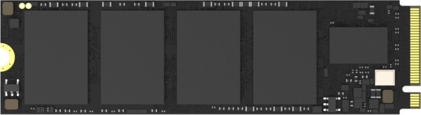 Hikvision E3000 SSD (1 TB)