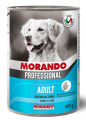 Morando Ton Balıklı 405 gr resim