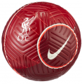 Nike Liverpool FC Strike DC2377-677 resim