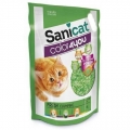 Sanicat Color Green Topaklaşan Çiçek Kokulu 5 lt resim