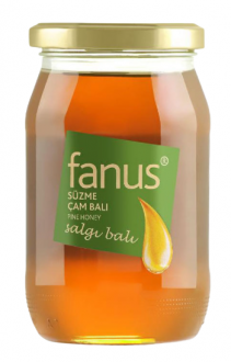 Fanus Çam Balı 460 gr