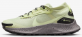 Nike Pegasus Trail 3 (DC8794-301) Erkek Spor Ayakkabı