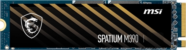 MSI Spatium M390 SSD (2 TB)