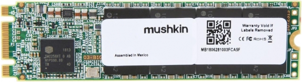 Mushkin Enhanced Source SSD (250 GB)