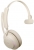 Jabra Evolve2 65 USB-A MS Mono Kablosuz Kulaklık