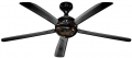 Asnorm Adonis F528 resim