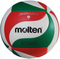 Molten V5M3500 resim