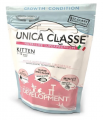 Unica Classe Development Tavuklu Yavru 300 gr resim