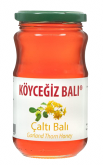 Köyceğiz Balı Çaltı Balı 450 gr