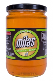 Milas Söğüt Balı 850 gr