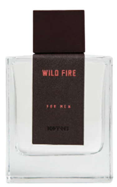 Koton Wild Fire EDT 100 ml Erkek Parfümü
