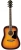 Ibanez V50NJP Akustik Gitar