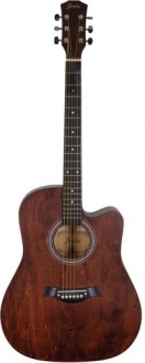 Fenix PSAG-13 Akustik Gitar