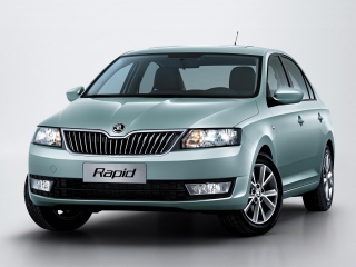 2017 Skoda Rapid 1.2 TSI Green Tec 110 PS Style
