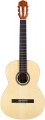 Cordoba C1M resim