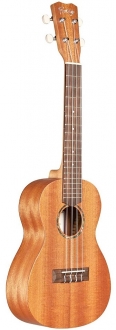 Cordoba Protege U1 Ukulele Gitar