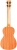 Cordoba Protege U1 Ukulele Gitar