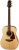Takamine GD10 Akustik Gitar