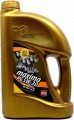 Petrol Ofisi Maxima PG 5W-30 5 litre Motor Yağı