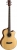 Cort SJB5F Akustik Bas Gitar