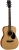 Cort AF510E Elektro Akustik Gitar