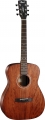Cort AF510M