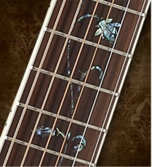 Cort Earth 1200 Akustik Gitar