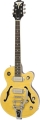 Epiphone Wildkat ETBKANCB1 resim