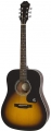 Epiphone FT-100 resim