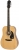 Epiphone FT-100 Akustik Gitar