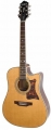 Epiphone Masterbilt DR-500MCE resim