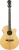 Epiphone PR-4E Elektro Akustik Gitar