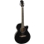 Epiphone PR-4E Elektro Akustik Gitar