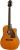 Epiphone Masterbilt Elektro Akustik Gitar