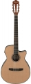 Ibanez AEG7TN resim