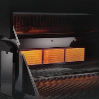 Napoleon Built-in Lex 605 Rbi Barbekü