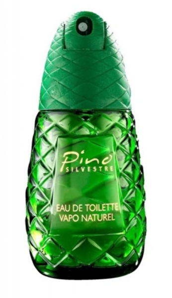 Pino Silvestre EDT 40 ml Erkek Parfümü (40 ml)