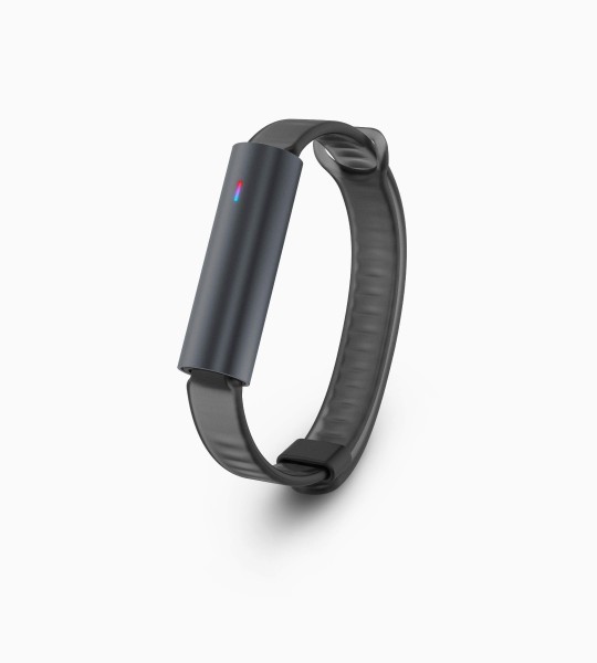 Misfit Ray Akıllı Bileklik
