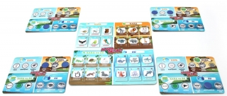 Acaba Neyim Junior Hayvanlar Alemi 72604