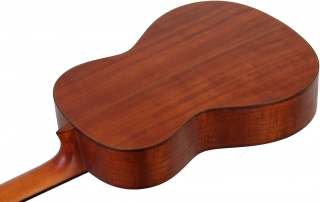 Valencia CGLTD2 Klasik Gitar
