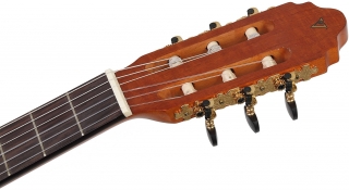 Valencia CGLTD2 Klasik Gitar