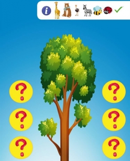 Math Forest