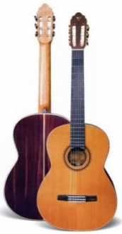 Valencia CG-LTD5 Klasik Gitar