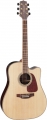 Takamine GD93CE resim