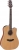 Takamine GD20CE Elektro Akustik Gitar