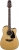 Takamine GD10CE Elektro Akustik Gitar
