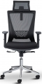 Asbir Ceo Plus resim