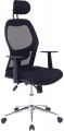 Asbir 785 Safir resim