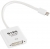 S-link Mini Display to DVI Active Dönüştürücü